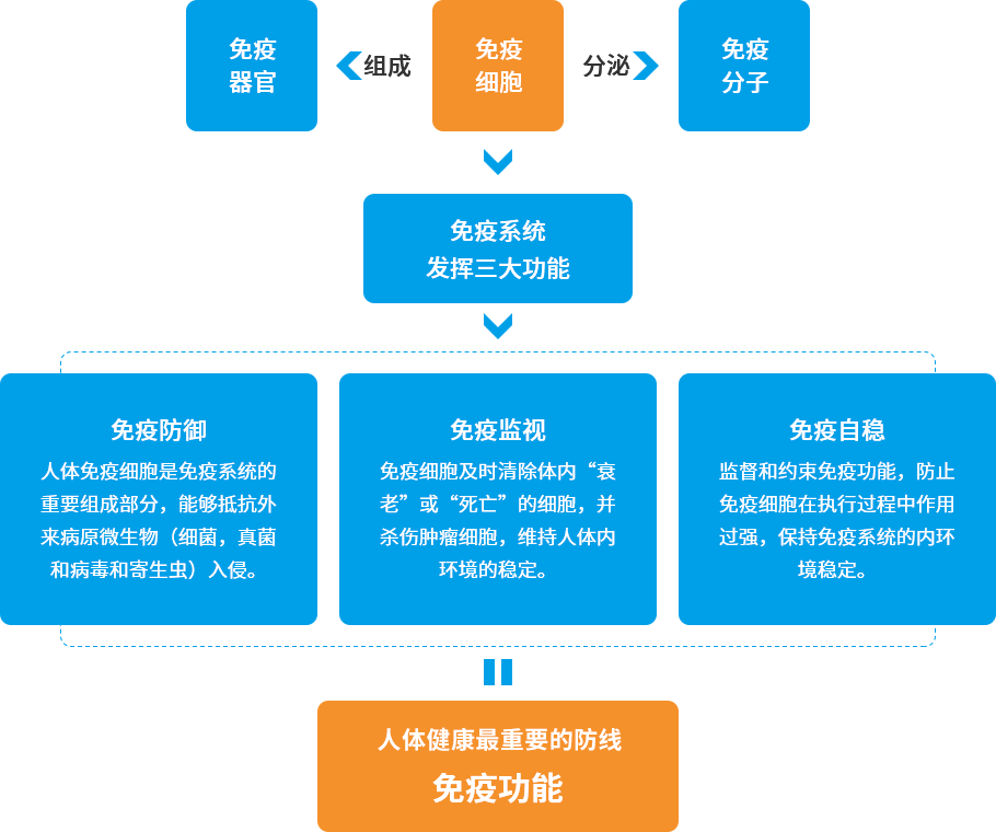 易彩堂官网